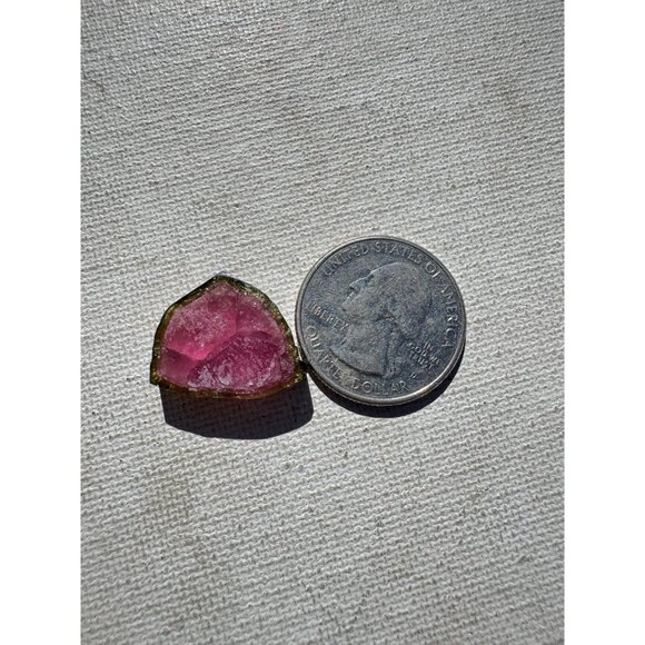 18.3 cts. Watermelon Tourmaline Natural Crystal Slice- Custom Cabochon #5 - Picture 6 of 7